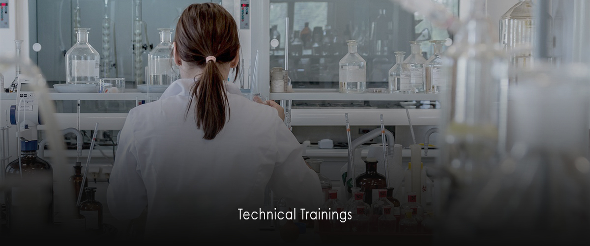 technical training, raytrex itron